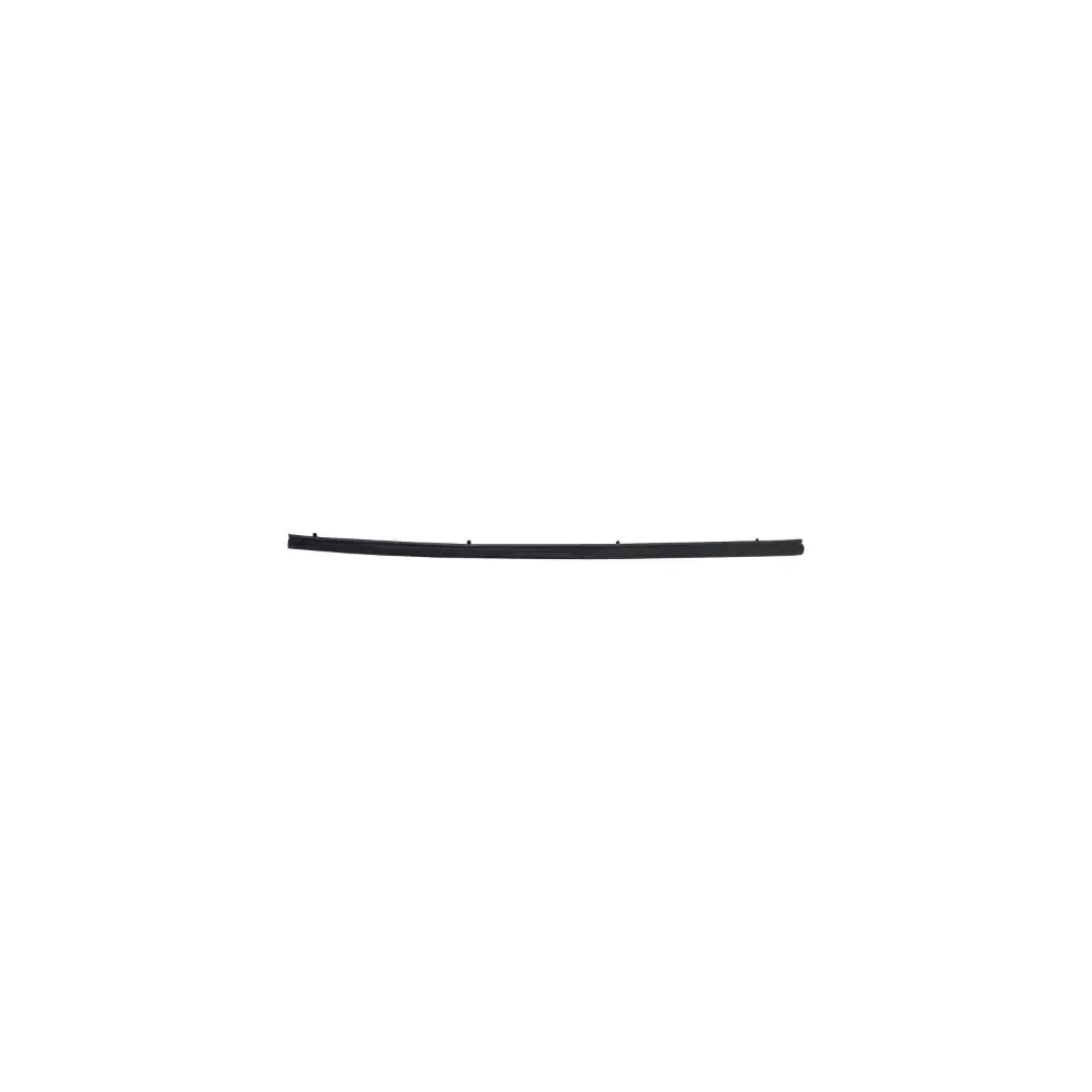 Door Glass Weatherstrip - CROJ5762385